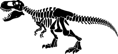 Esqueleto De Dinosaurio Svg T Rex Skeleton Svgtyrannosaurus Etsy