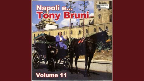 Lyrics to 'o' surdato 'nnammurato' by andrea bocelli. 'O surdato 'nnammurato - YouTube