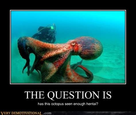 View Cute Octopus Memes Knotaresz