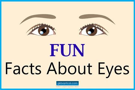Fun Facts About Human Eye The Gkb Eyewear Destination