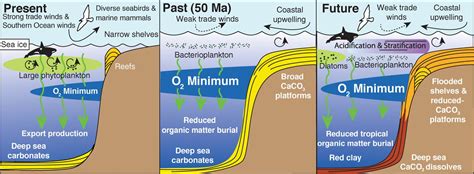 Marine Ecosystem Responses To Cenozoic Global Change Science