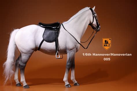 German Hanoverian Warmblood Horse White