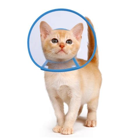 Petbaba Cat Cone Collar In Recovery Clear Elizabethan Not Block Vision