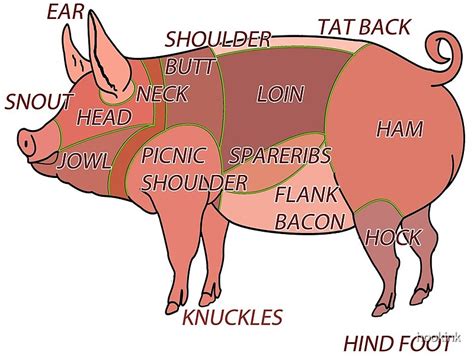 Butcher Diagram How To Butcher A Pig By Hookink Redbubble