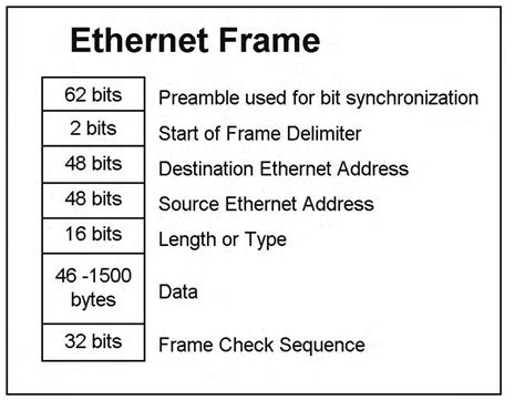 basic structure of ethernet frame download scientific diagram