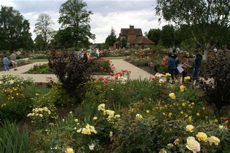 Visit To Royal National Rose Society Gardens St Albans Bedford