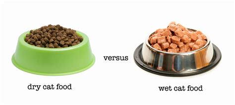 You can feed your cat wet food as it has low carbs as opposed to dry food. The Portion and How Often the Cats Feed Wet Food | Pet ...