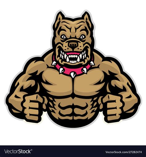 Angry Muscle Pitbull Royalty Free Vector Image