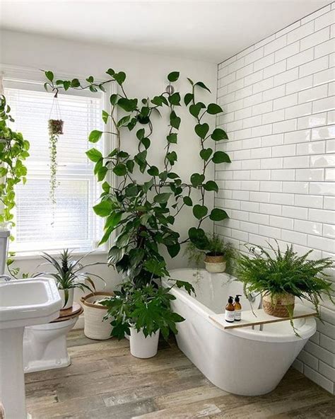 Pin On Plant Mama Plant Decor Indoor Bathroom Plants Decor Best