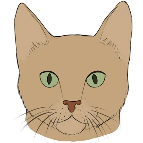 With this drawing cat, you can learn the basic things to draw a cat, and from there you can develop more elaborate elements. How to Draw a Cat Face | Easy Drawing Art