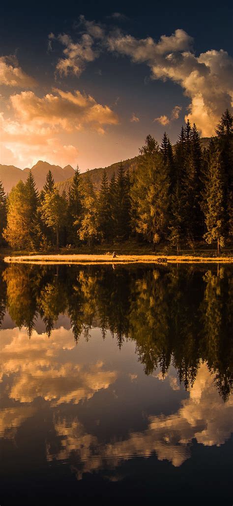 Cloud Reflection And Forest Wallpaper 1080×2340 Webrfree