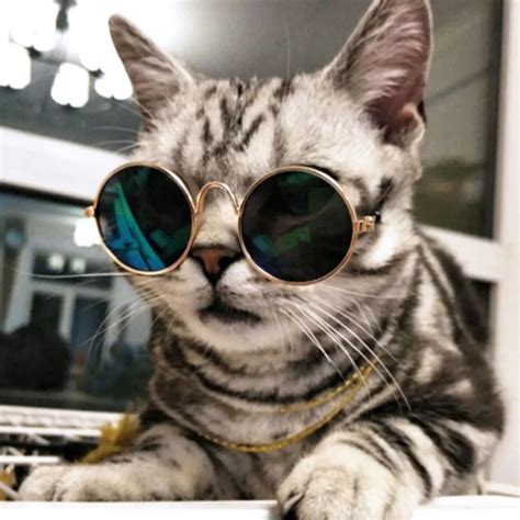 2017 Fashion Glasses Small Pet Dogs Cat Glasses Sunglasses Eye Wear