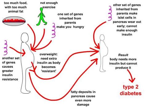 Chronic Diseases And Obesity Causes Of Diabetes Symptoms Diagnosis