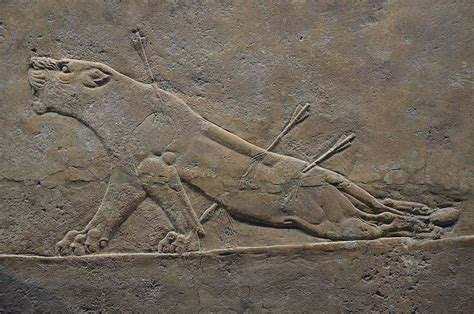 File Sculpted Reliefs Depicting Ashurbanipal The Last Great Assyrian
