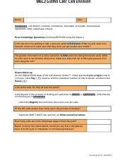 Student exploration energy conversions gizmo answer key. cell_division_gizmo_answer_key_.pdf - CELL DIVISION GIZMO ...