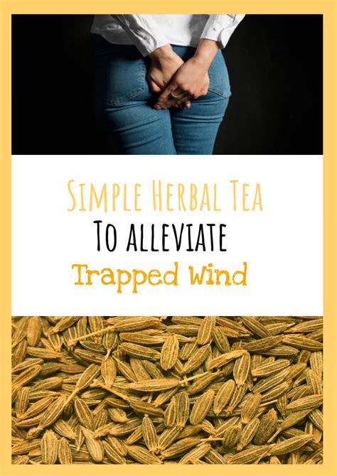 Simple Herbal Tea To Alleviate Trapped Wind Trapped Wind Trapped Gas