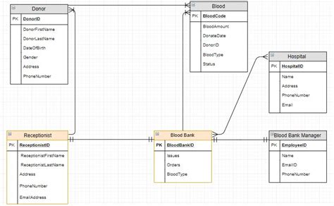 Solved Based On My Blood Management System Er Diagram Can