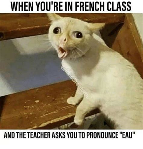 French Language Rwholesomememes Wholesome Memes Know Your Meme