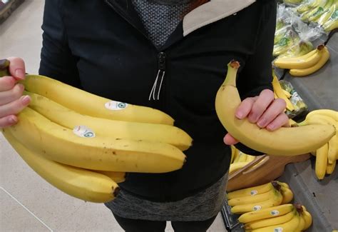 These Bananas Rabsoluteunits