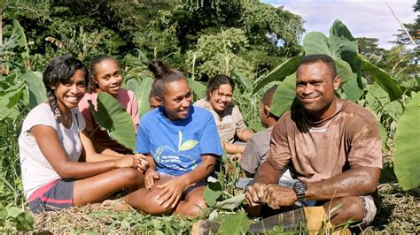 The Naqaqa Family Farm, Fiji 