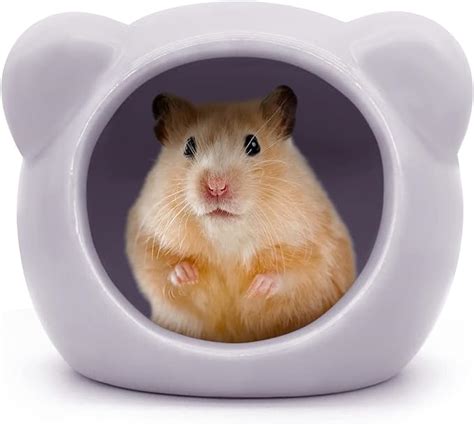 Luckyopt Ceramic Hamster House Cute Animal Shaped Hamster