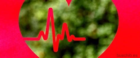 Zonas Frecuencia Cardiaca Optimiza Tu Entrenamiento
