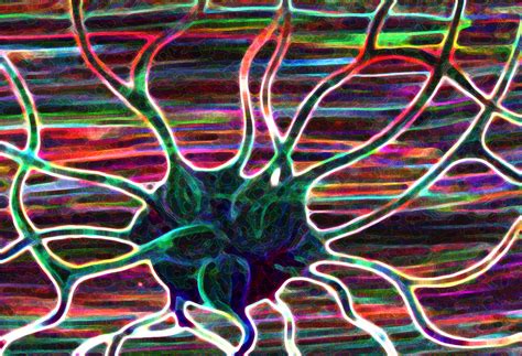 Impulse Neurons Are The Specialized Cells That Make Up