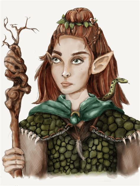 Art Meet Meilee Wood Elf Druid In Dragon Armor My First Attempt At