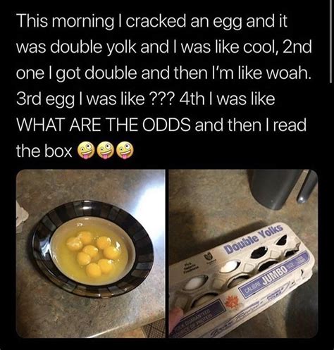What An Odd Carton Of Eggs Funny Insults Funny Relatable Memes Funny Photos