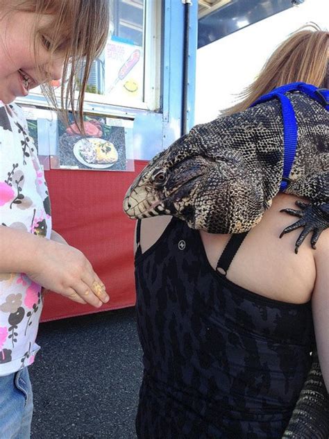 195 results for pet lizards. Why A Tegu is the Best Pet Lizard | PetHelpful