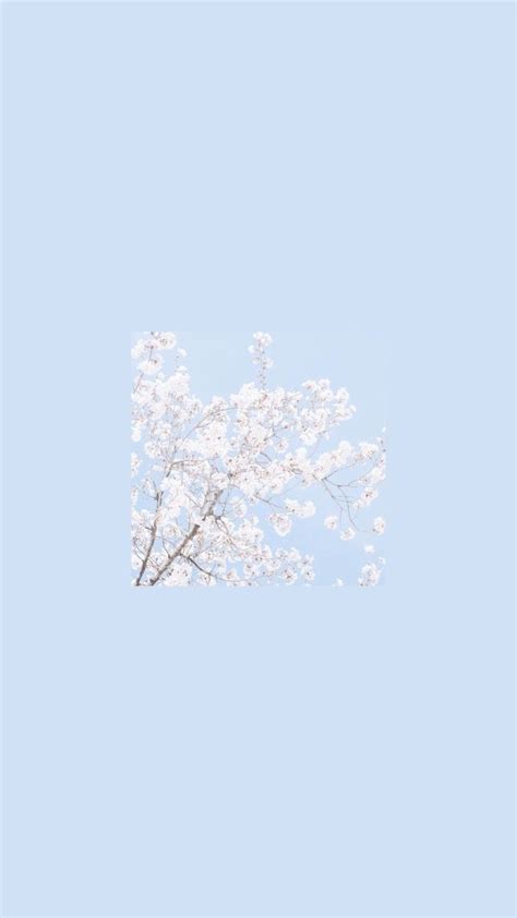 Aesthetic Colors Wallpapers - Top Free Aesthetic Colors Backgrounds