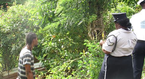 Mc lorenzo) (brega funk) 01:56. Roadside vendor killed in vehicular accident | iWitness News