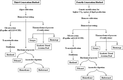 Third And Fourth Generation Biofuels 28 Download Scientific Diagram