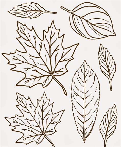 A printable stencil is a template that can be used to imprint patterns and designs onto another surface. 20 Free Printable Wood Burning Patterns for Beginners