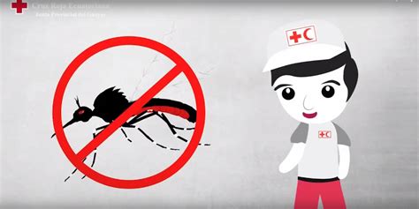 Estos Vídeos Te Muestran Cómo Prevenir El Chikungunya
