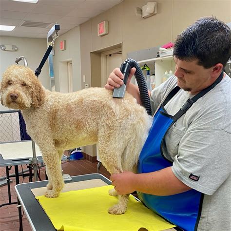 Dog Grooming - Pet's Best Friend