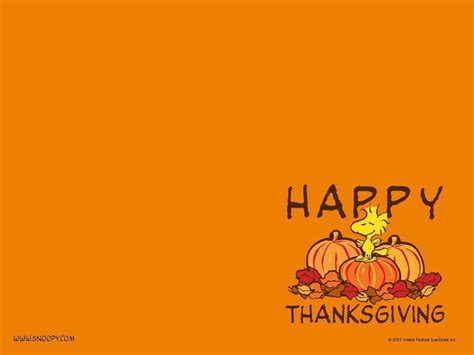 Charlie Brown Thanksgiving Wallpapers Wallpaper Cave