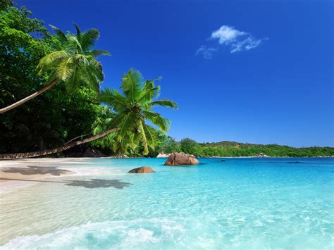 Paradis tropical soleil plage côte mer palmiers Fonds d écran x Lindas