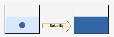 Solubility Definition Factors Affecting Types Examples And Faqs