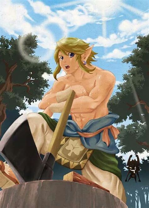 Pin By Linkle On Link Is Hot Legend Of Zelda Anime Zelda