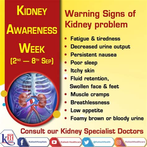 Kidney Disease Is A Silent Killer Early Diagnosis Of Its Symptoms Can