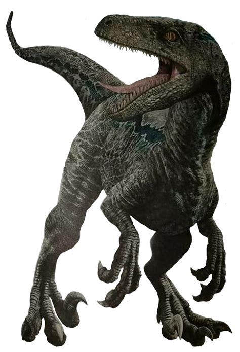 Unused Velociraptor Render By Kingrexy On Deviantart