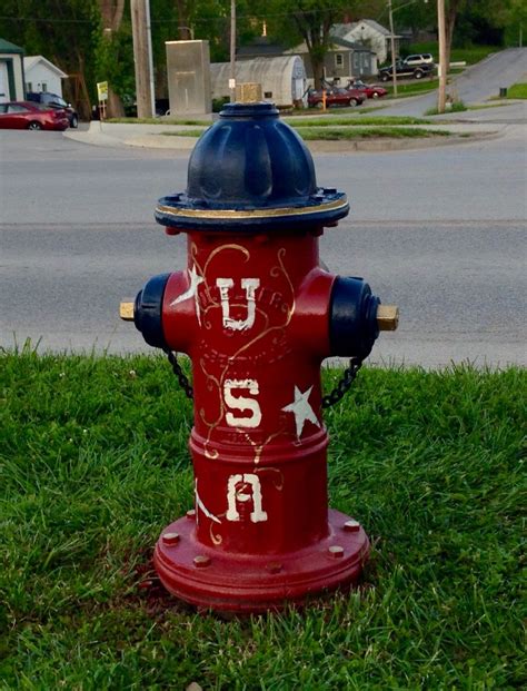 Cool Painted Fire Hydrants Columbus Stearns
