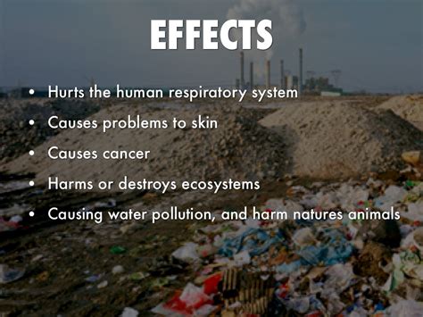 Effects Of Land Pollution On The Environment