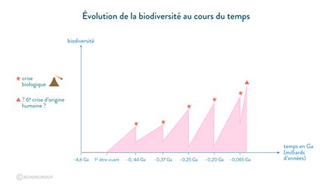 Représenter des données sous forme de graphique. Controle Svt Evolution Des Organismes Vivants Et Histoire ...