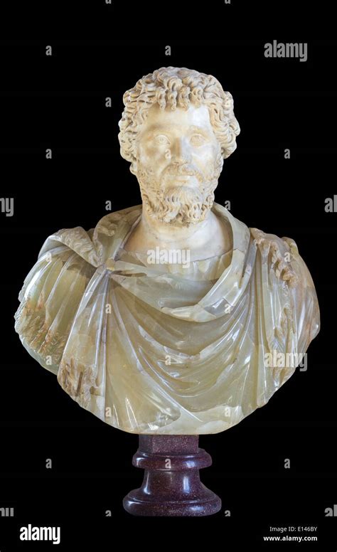 Portrait Of Septimius Severus Stock Photo Alamy