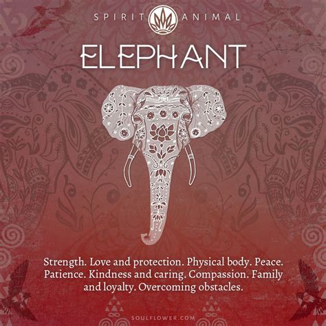 Elephant Symbolism Elephant Spirit Animal Soul Flower Blog