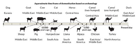 Timeline Of Animal Domestication Collectedny