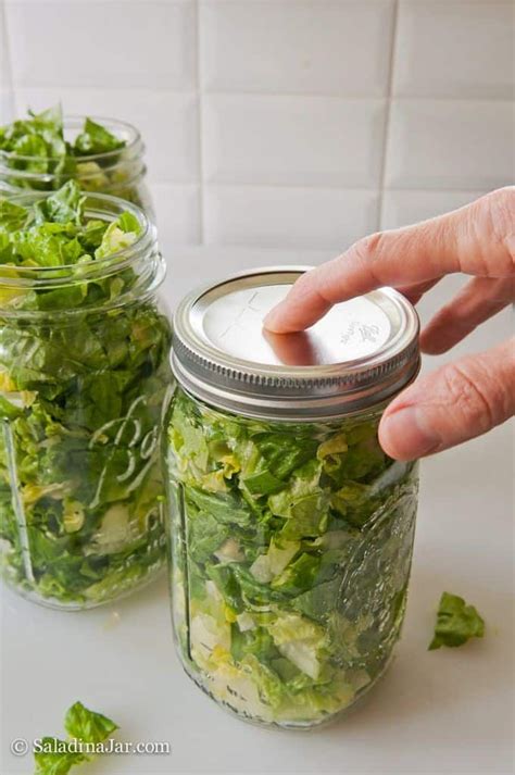 How To Keep Romaine Lettuce Fresh Make It Easy To Eat More Salad