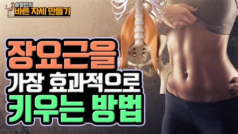 척추 건강의 핵심 근육 장요근 운동법 송영민의 바른자세만들기 YouTube